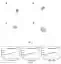 Fig. 05 - Automatic microfluidic system for continuous and quantitive collection of droplets
