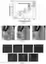 Fig. 06 - Automatic microfluidic system for continuous and quantitive collection of droplets