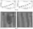 Fig. 07 - Automatic microfluidic system for continuous and quantitive collection of droplets