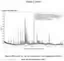 Fig. 05 - Microwave assisted pyrolysis and gasification