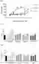 Fig. 03 - ANTI-TIM3 ANTIBODY PHARMACEUTICAL COMPOSITION AND USE THEREOF