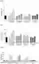 Fig. 04 - ANTI-TIM3 ANTIBODY PHARMACEUTICAL COMPOSITION AND USE THEREOF