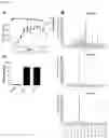 Fig. 13 - Glycosylation of proteins