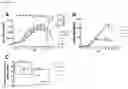 Fig. 15 - Glycosylation of proteins