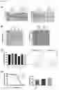 Fig. 16 - Glycosylation of proteins