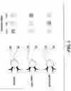 Fig. 04 - Compositions and methods for analyte detection