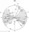 Fig. 10 - Document analysis system