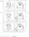 Fig. 93 - Emoji recording and sending