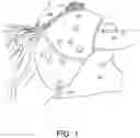 Fig. 02 - WRAP FOR PROTECTING THE HEAD AND HORN OF A STEER