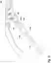 Fig. 16 - Limb holder allowing distal actuation along non-linear paths of actuation
