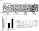 Fig. 03 - Pharmaceutical Composition Comprising Compound Capable of Penetrating Blood-Brain Barrier as Effective Ingredient for Preventing or Treating Brain Cancer