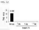 Fig. 16 - Pharmaceutical Composition Comprising Compound Capable of Penetrating Blood-Brain Barrier as Effective Ingredient for Preventing or Treating Brain Cancer