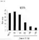 Fig. 19 - Pharmaceutical Composition Comprising Compound Capable of Penetrating Blood-Brain Barrier as Effective Ingredient for Preventing or Treating Brain Cancer