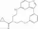 Fig. 41 - Pharmaceutical Composition Comprising Compound Capable of Penetrating Blood-Brain Barrier as Effective Ingredient for Preventing or Treating Brain Cancer