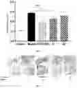 Fig. 02 - with the ability to relieve atopic dermatitis and its application