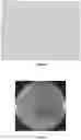 Fig. 02 - LAS-DEGRADING AND/OR N-REMOVING BACTERIUM AND APPLICATION THEREOF
