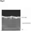 Fig. 06 - METAL-SILICON CARBIDE-BASED COMPOSITE MATERIAL, AND METHOD FOR PRODUCING METAL-SILICON CARBIDE-BASED COMPOSITE MATERIAL