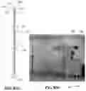 Fig. 09 - Space temperature scanner and method for displaying space temperature