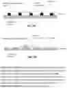Fig. 06 - Assay accuracy improvement