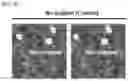 Fig. 09 - Nano-ligand for promoting cell adhesion and differentiation of stem cells and method of promoting cell adhesion and differentiation of stem cells by using the same