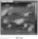 Fig. 32 - Whole Virus Quantum Mechanical Tunneling Current and Electronic Sensors