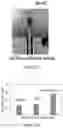 Fig. 33 - Whole Virus Quantum Mechanical Tunneling Current and Electronic Sensors