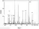 Fig. 08 - STRUCTURAL ANALYSIS OF IONISED MOLECULES
