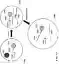 Fig. 87 - Methods and systems for analysis of chromatin