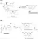 Fig. 02 - Biosensor for detecting influenza A virus using Au—FEOcomposite