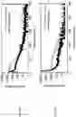 Fig. 06 - Self-assembled directionally solidified eutectics for thermal neutron detection