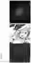 Fig. 28 - Method of characterizing and imaging microscopic objects