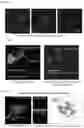 Fig. 37 - Method of characterizing and imaging microscopic objects