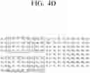 Fig. 14 - ELECTRONIC APPARATUS AND METHOD FOR CONTROLLING THEREOF