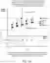 Fig. 11 - Adaptive co-distillation model