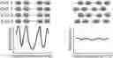 Fig. 01 - TRANSCRIPTION FACTOR PROFILING