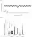 Fig. 06 - TRANSCRIPTION FACTOR PROFILING