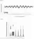 Fig. 07 - TRANSCRIPTION FACTOR PROFILING