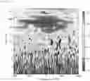 Fig. 13 - TRANSCRIPTION FACTOR PROFILING