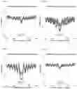 Fig. 35 - TRANSCRIPTION FACTOR PROFILING