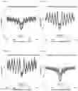 Fig. 40 - TRANSCRIPTION FACTOR PROFILING