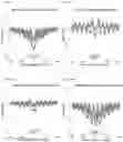 Fig. 41 - TRANSCRIPTION FACTOR PROFILING