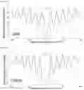 Fig. 50 - TRANSCRIPTION FACTOR PROFILING