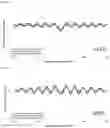 Fig. 54 - TRANSCRIPTION FACTOR PROFILING