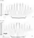 Fig. 80 - TRANSCRIPTION FACTOR PROFILING