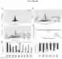 Fig. 90 - TRANSCRIPTION FACTOR PROFILING