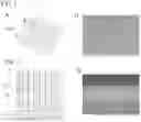 Fig. 02 - Ingan epitaxy layer and preparation method thereof