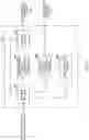 Fig. 10 - USER TERMINAL AND RADIO COMMUNICATION METHOD