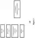 Fig. 02 - Systems, methods, and computer-accessible mediums for repressing or turning off the read of a digital tag