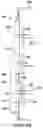 Fig. 09 - Back support frame