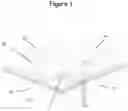 Fig. 02 - DUAL CORE MATTRESS